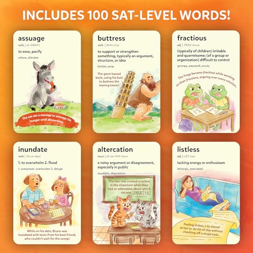 Vocabulary Flash Cards