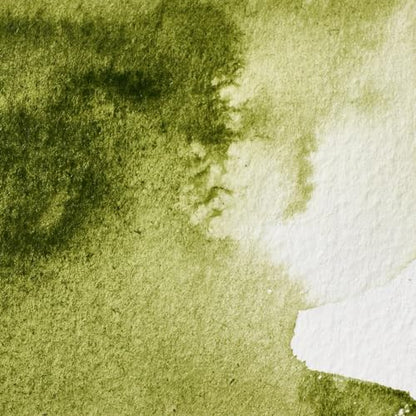 Professional Watercolor