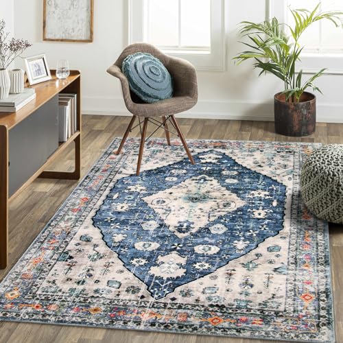 Felice Boho Tribal Area Rug