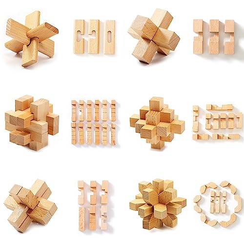 9pcs Wooden Brain Teaser Puzzles (9 Count)