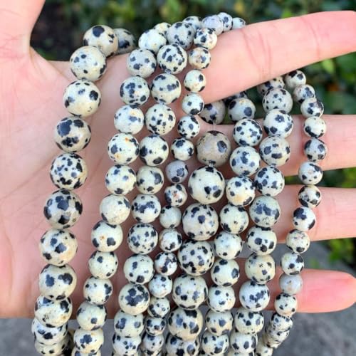120pcs Adabele Natural Dalmatian Jasper Gemstone 6mm Round Beads (124 Count)