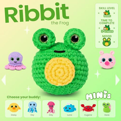 Crochet Kit for Beginners