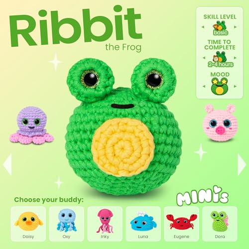 Crochet Kit for Beginners
