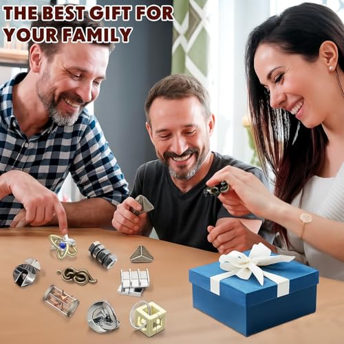 9 Pcs Metal Brain Teasers 3D Steel Puzzle Set (9 Count)