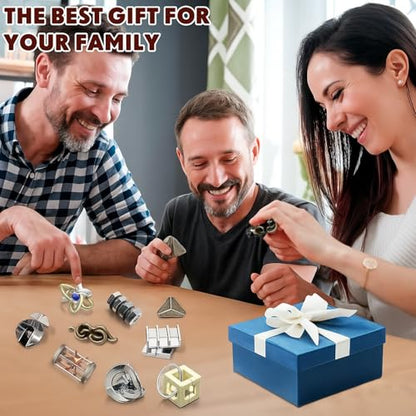 9 Pcs Metal Brain Teasers 3D Steel Puzzle Set (9 Count)