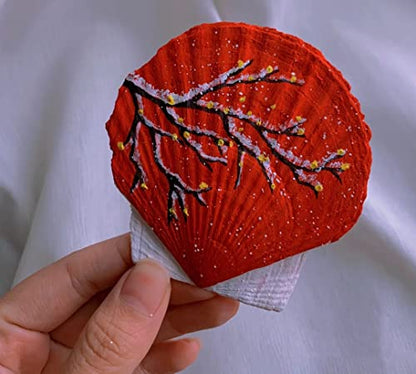 21Pcs Natural Scallop Sea Shells