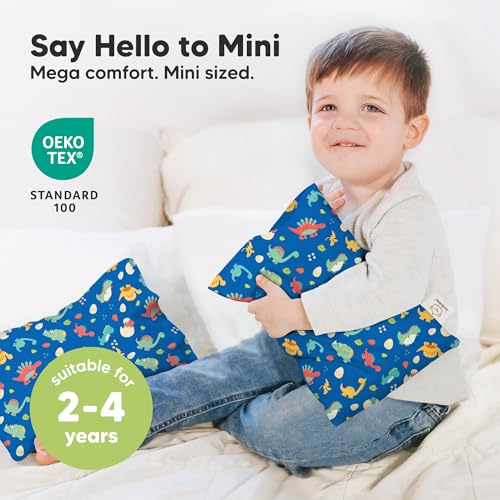 Mini Toddler Pillow with Pillowcase
