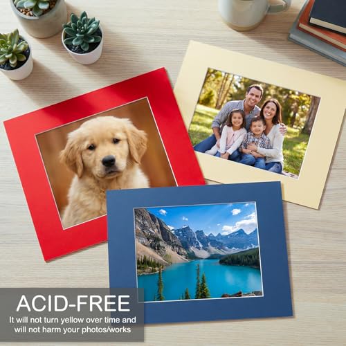 15 Pack 12x16 Picture Mats for 8.5x11 Photos