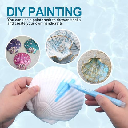 20PCS Natural Scallop Shells for Crafts & Baking