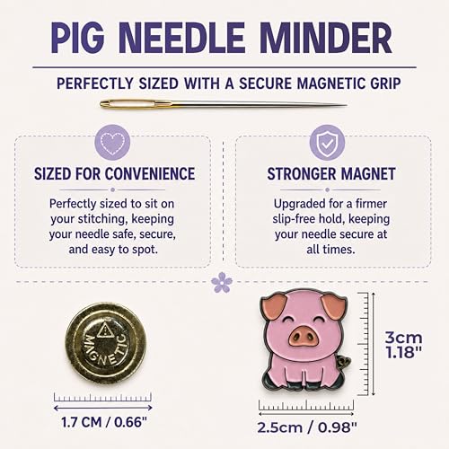 Magnetic Needle Minder