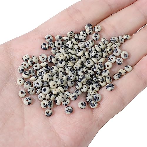 Natural Dalmatian Disk Stone Beads 4x2mm 160pcs Rondelle Loose Semi Gemstone Beads for Jewelry Making Design (160 Count)