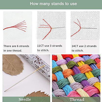 Counted Cross Stitch Kits