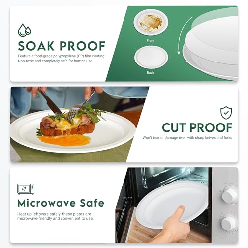 100% Compostable Oval Paper Plates 12 inch Bulk 100 Count