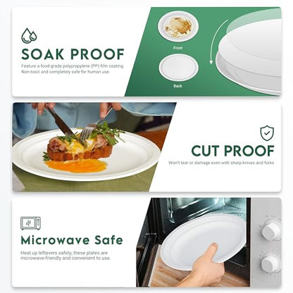 100% Compostable Oval Paper Plates 12 inch Bulk 100 Count