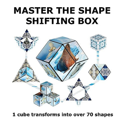 DODECA Magnetic Puzzle Cube