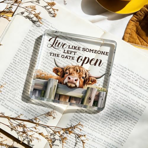 Cute Cow Decorative Signs