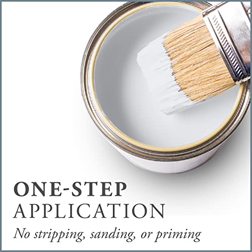 Chalk Based One Step Paint for Furniture (16 Fl Oz)