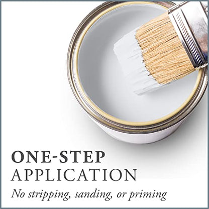 Chalk Based One Step Paint for Furniture (16 Fl Oz)