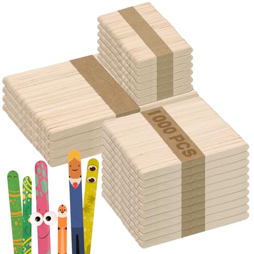 1000PCS Popsicle Sticks for Craft (1000 Count)