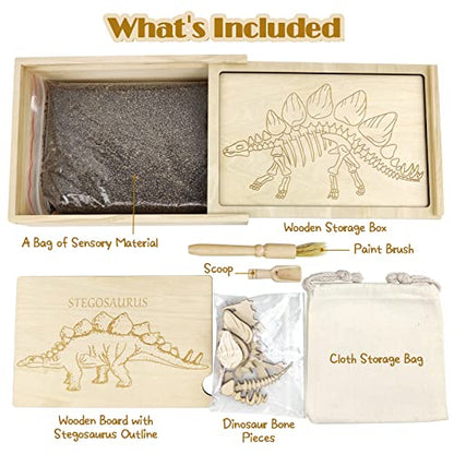 Dinosaur Excavation Archaeology Dig Kit for Kids