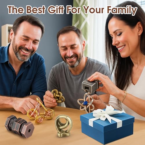 9 Pcs Metal Brain Teasers 3D Steel Puzzle Set (9 Count)
