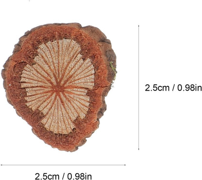 GALPADA Christmas Tree Bark Wood Slices Xmas Ornaments Mini Natural Vintage Round Log Discs for Arts & Crafts Home DIY Table Decoration - Crafty Corner