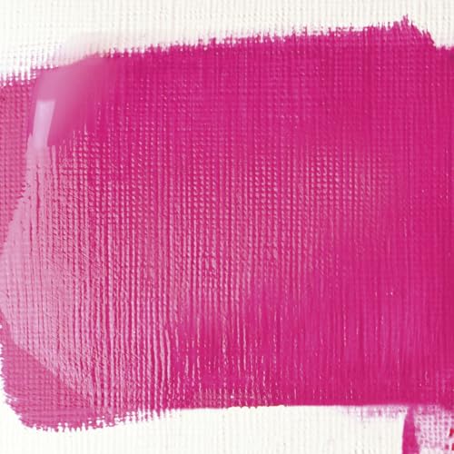 BASICS Gloss Varnish (8.45 Fl Oz)