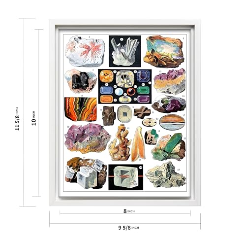 Vintage Geology Canvas