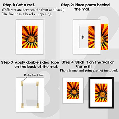 5 Pack Double mat 11x14 For 8x10 Photo White Over White (5 Count)
