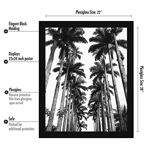 22x28 Poster Frame