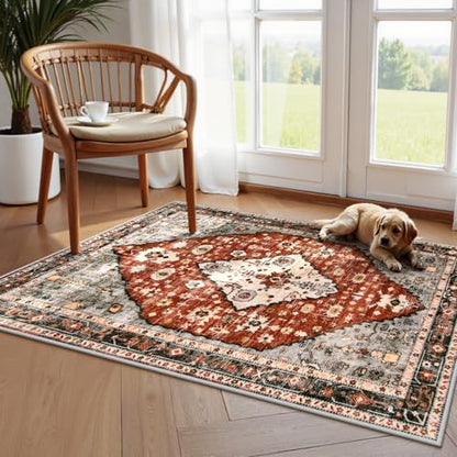 Felice Boho Tribal Area Rug