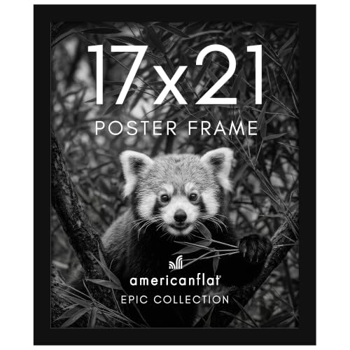 17x21 Poster Frame