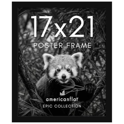 17x21 Poster Frame