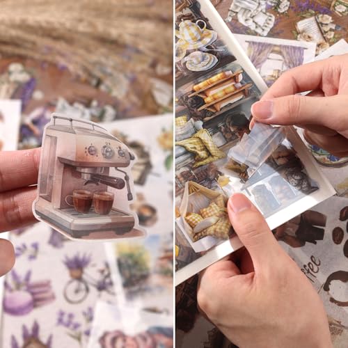 Scrapbook Reading Stickers 20 Sheets 240 Pre