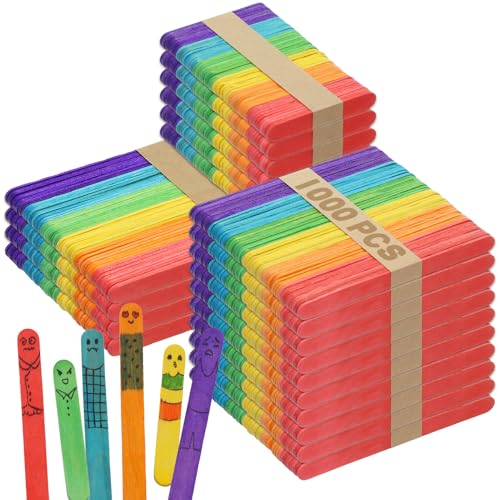 1000PCS Colored Craft Sticks (1000 Count)