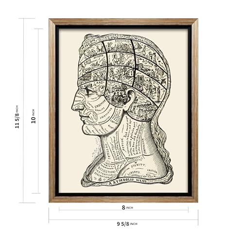 A Symbolic Head Phrenology Print 1899