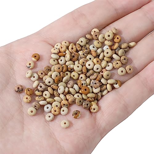 Natural Brown Picture Disk Stone Beads 4x2mm 160pcs Rondelle Loose Semi Gemstone Beads for Jewelry Making Design (160 Count)