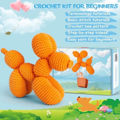 Crochet Kit for Beginners