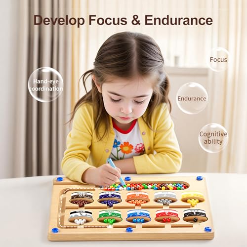 Magnetic Color Number Maze Puzzle Board (65 Count)