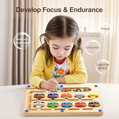 Magnetic Color Number Maze Puzzle Board (65 Count)