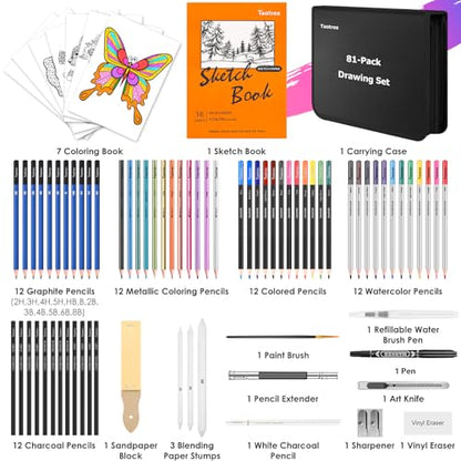 81 Pack Art Supplies for Adults (81 Count)