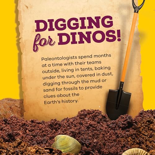 Real Fossil Dig Kit for Kids