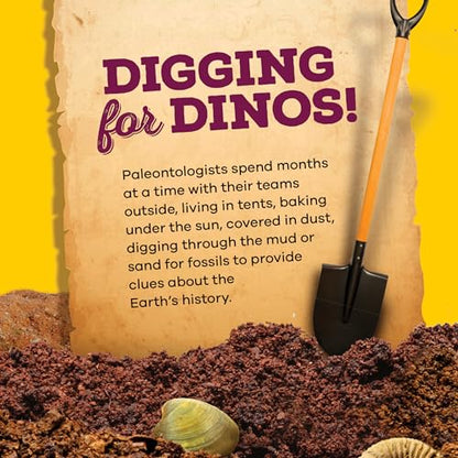 Real Fossil Dig Kit for Kids