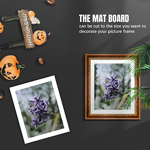 8x10 Uncut Picture Mat Boards