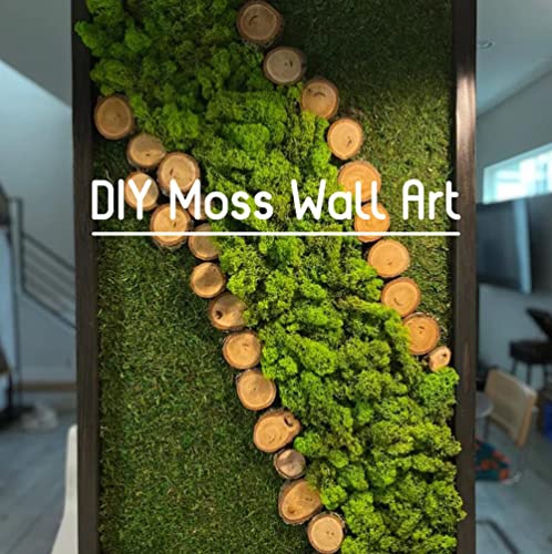 Preserved Reindeer Craft Moss Natural Green DIY Kit Gardenning Art Wall Florist Easter Table Wedding
