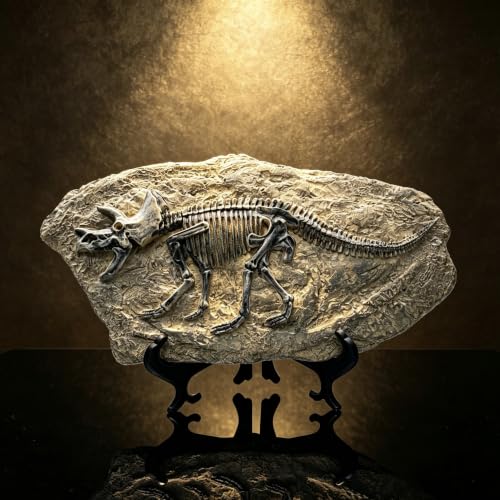 Resin Triceratops Dinosaur Fossil Statue Model Simulated Skeleton Home Office Display Decorative Craft Box Decoration
