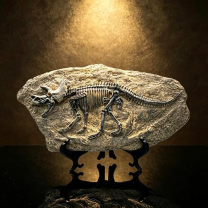 Resin Triceratops Dinosaur Fossil Statue Model Simulated Skeleton Home Office Display Decorative Craft Box Decoration