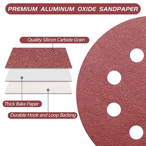 5 Inch 100 Grit Sanding Discs