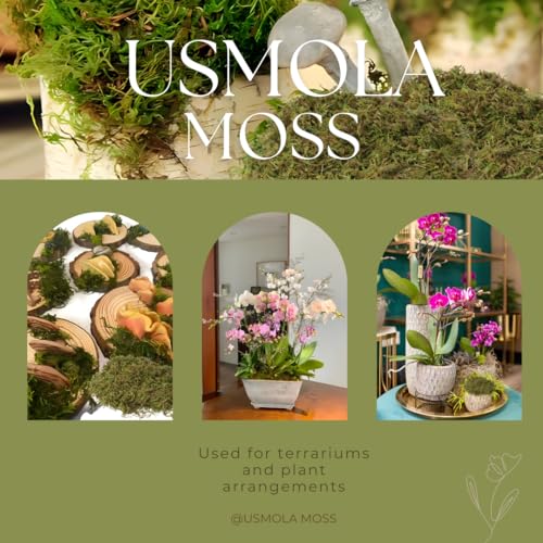 Fake Green Moss for Potted Plants (40 Ounce)