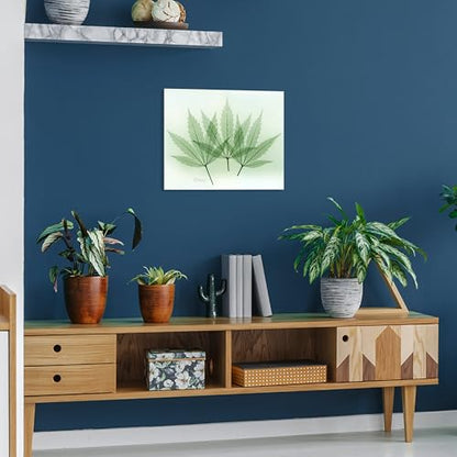 Frameless Free Floating Tempered Glass Panel Graphic Wall Art Ready to Hang